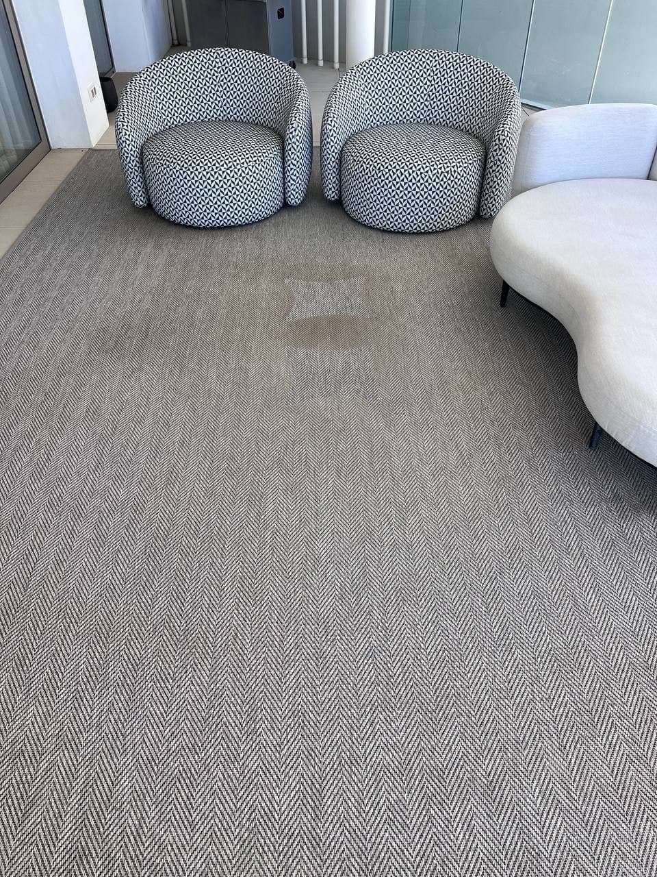 Carpet — Before