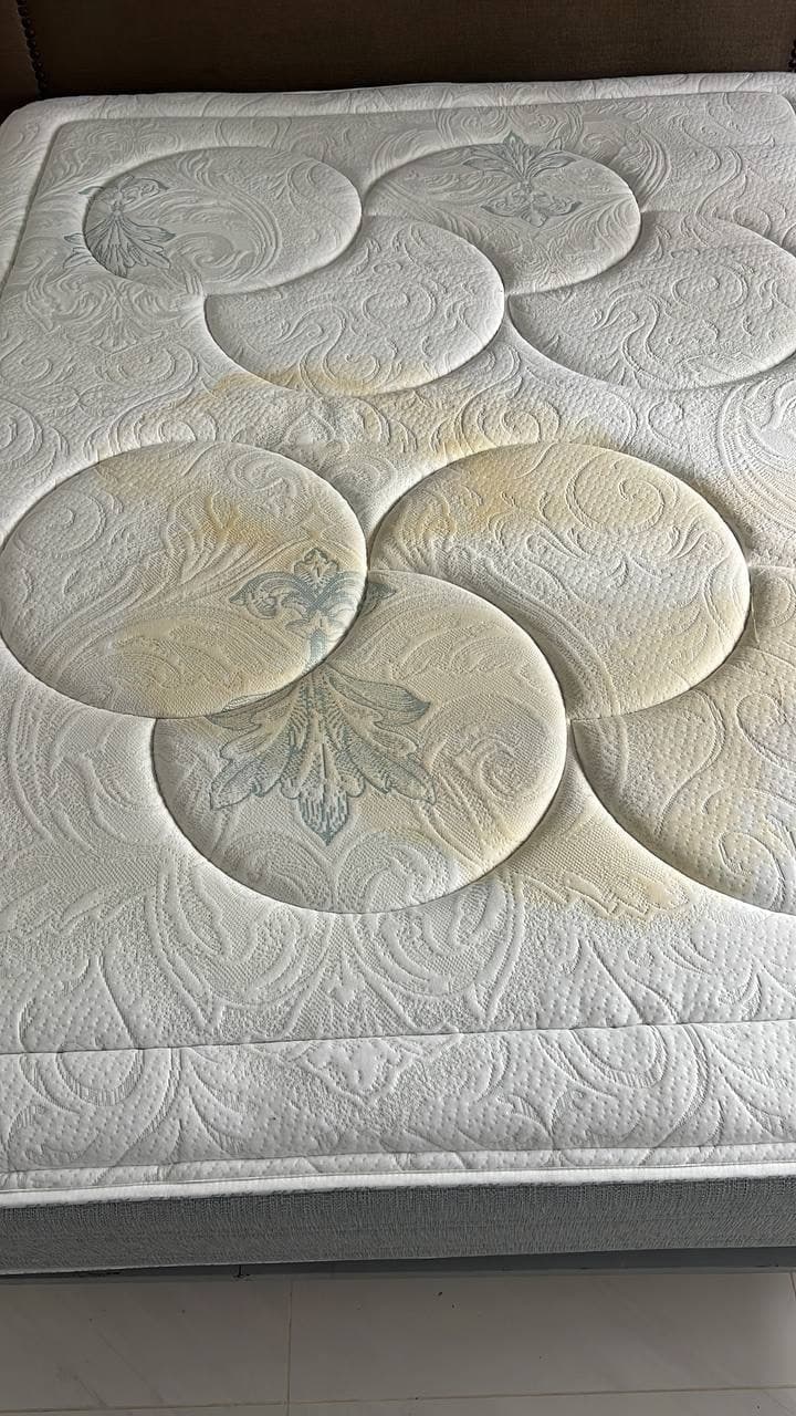 Mattress — Before