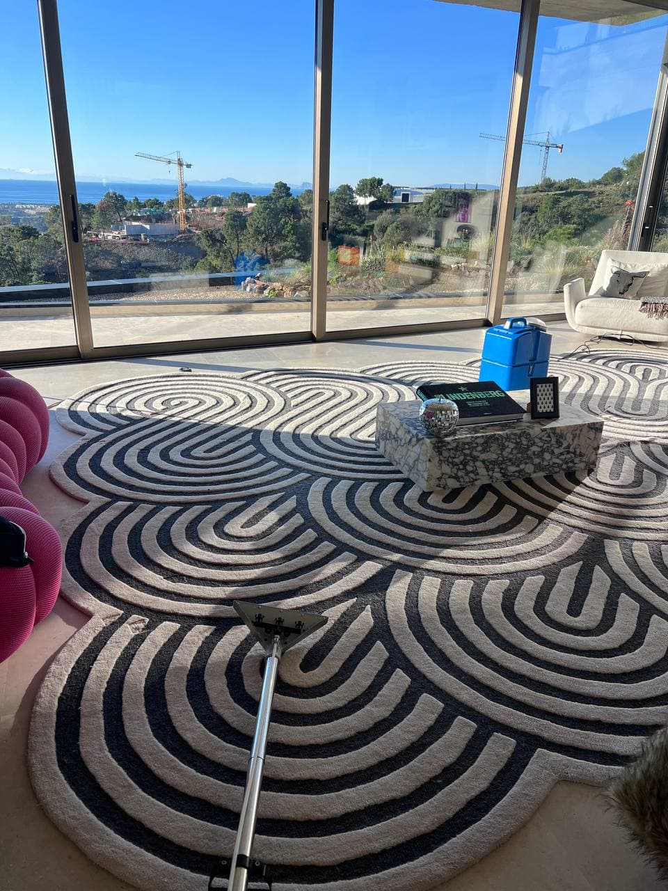 Carpet & Rug Cleaning — real work photo